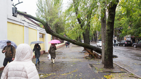 Odessa, Ukraine - October 12, 2016: Hurricane CHRISTIE. Heavy rain and gale - force gusts of wind...