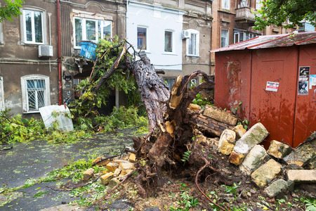 Odessa, Ukraine - October 12, 2016: Hurricane CHRISTIE. Heavy rain and gale - force gusts of wind caused accident - old tree during storm fell on car and destroyed house. Strong storm with rainのeditorial素材