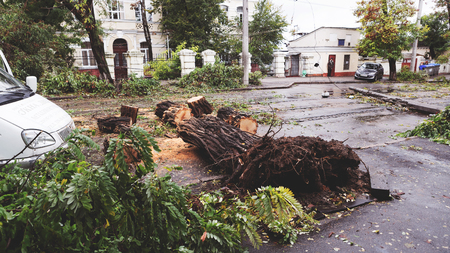 Odessa, Ukraine - October 12, 2016: Hurricane CHRISTIE. Heavy rain and gale - force gusts of wind...