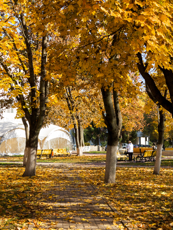 Belgorod, Russia - October 17, 2018: Autumn city park, amazing fall colors. Leaves fall on ground. Colorful Autumn scenery with warm colors and footpath covered in leaves leading. People walk in parkのeditorial素材