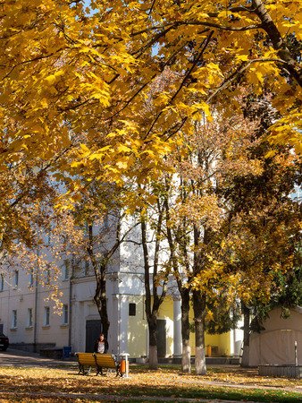 Belgorod, Russia - October 17, 2018: Autumn city park, amazing fall colors. Leaves fall on ground. Colorful Autumn scenery with warm colors and footpath covered in leaves leading. People walk in parkのeditorial素材