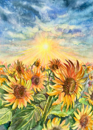 Watercolor sunflower field at sunset. Natural landscape, agricultural field. Copy space. Design element.の写真素材