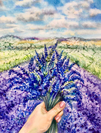 Female hand holds a bouquet of lavender. Watercolor lavender field. Design element.の写真素材