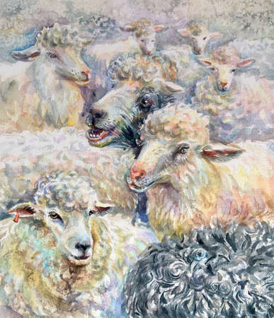 Watercolor farm. Cute wild animal. Sheeps.の写真素材