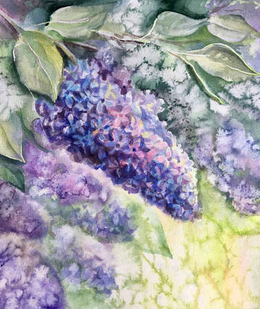 Watercolor beautiful blooming lilac (Danaus plexippus). Purple flower on the bush. Spring, summer time background.の写真素材