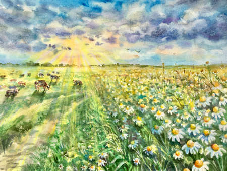 Watercolor meadow. Cows on a chamomile field. Design element.の写真素材