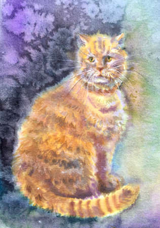 Watercolor fluffy kitty. Sweet beautiful cat portrait.の写真素材