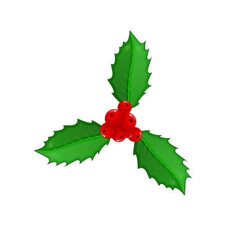 Cute cartoon leaves and berries of Holly isolated on white background. Christmas template. Vector illustrationのイラスト素材