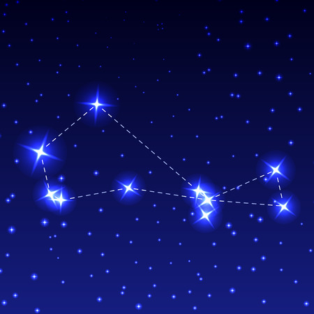 The Constellation of the Southern Fish in the night starry sky. Vector illustration of the concept of astronomyのイラスト素材