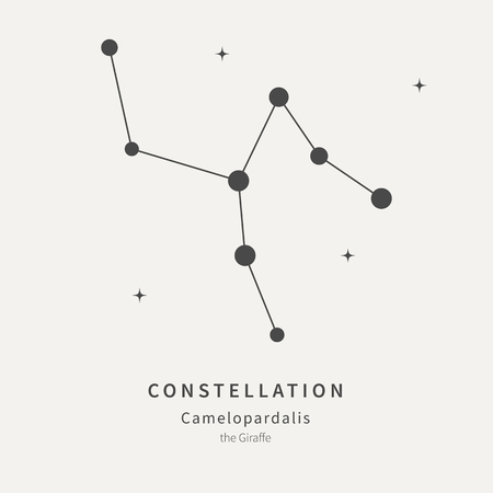 The Constellation Of Camelopardalis. The Giraffe - linear icon. Vector illustration of the concept of astronomyのイラスト素材