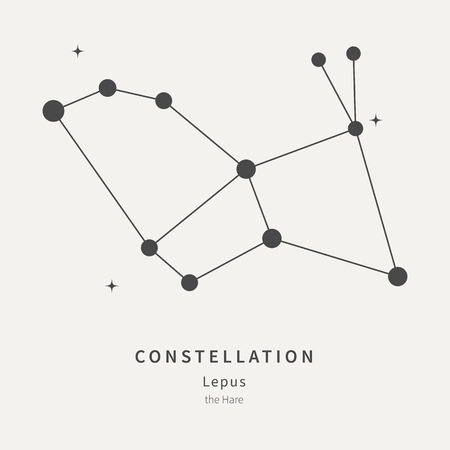 The Constellation Of Lepus. The Hare - linear icon. Vector illustration of the concept of astronomyのイラスト素材