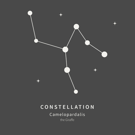 The Constellation Of Camelopardalis. The Giraffe - linear icon. Vector illustration of the concept of astronomyのイラスト素材
