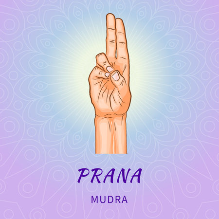 Prana mudra - gesture in yoga fingers. Symbol in Buddhism or Hinduism concept. Yoga technique for increase vitality and activate the muladhara chakra. Vector illustration isolated on white background