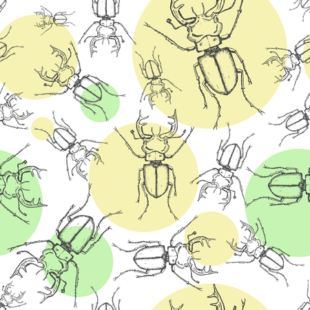 Sketch stag beetles seamless pattern with color circles. Hand drawn sketch in vintage engraving style. Insect vector illustrationのイラスト素材