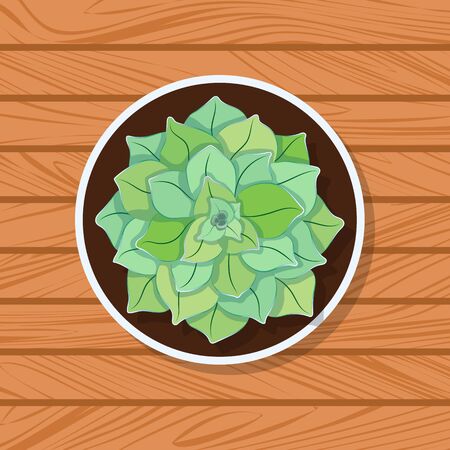 Flat image of pot with succulent on wooden table. Concept of house plant. Top view of a green home flower. Vector illustrationのイラスト素材