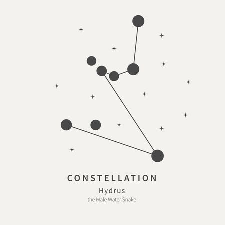 The Constellation Of Hydrus. The Male Water Snake - linear icon. Vector illustration of the concept of astronomyの写真素材