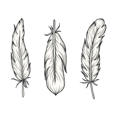 Set of birds feathers. Hand drawn monochrome sketch. vector illustrationのイラスト素材
