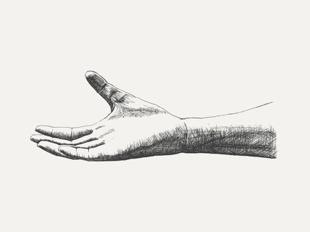 Empty Open Human Hand Gesture - Sketch Isolated on White Background. Hand Drawn Sketch in Vintage Engraving Style. Vector Illustration.のイラスト素材