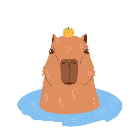 Adorable capybara with small orange fruit on its head relaxing in hot spring. It has peaceful face expression. Cute animal bathing. Vector illustration in flat cartoon style on white backdrop.のイラスト素材