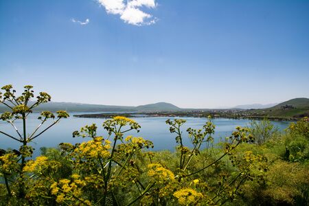 Beautiful summer landscape on the lakeの写真素材