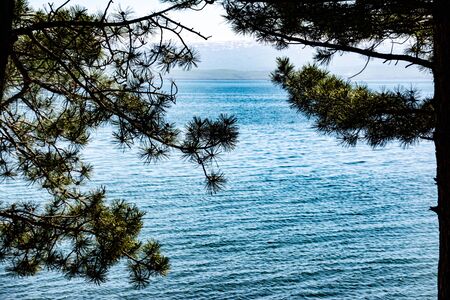 Wonderful lake landscape from the forestの写真素材