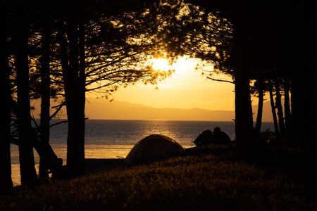 Amazing summer sunset in forestの写真素材