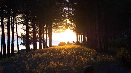 Nice romantic picnic on the sunset
