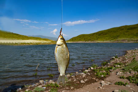 The fish pecked the fishing rodの写真素材