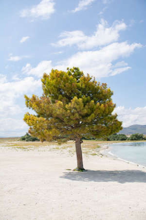 Sun, blue sea and white sandの写真素材