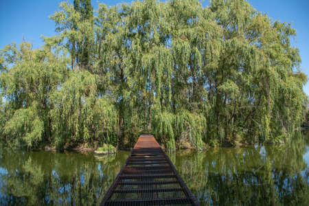 Bridge over the river in the forest. The iron bridge leads to the island.の写真素材