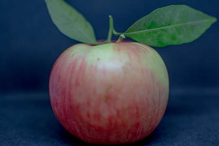 Photo of red apples. Fresh apples on the table