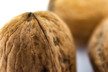 Nuts on a white background. Macro photography of nutsの写真素材