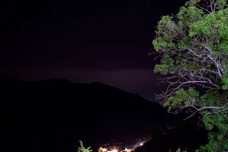 Night landscape. Lonely tree on a background of glowing stars. Starry skyの写真素材