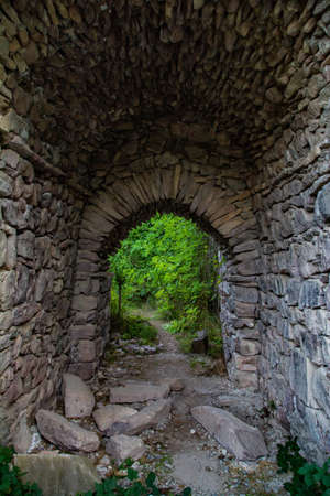 The old arch and the entrance to the deep forest