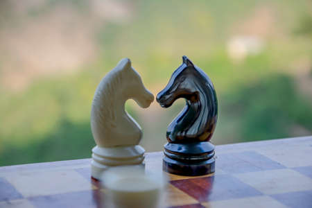 Chess Pieces - Knight. The knight is an amazing chess piece that can jump over obstacles. Chess knight - stock images and picturesの写真素材