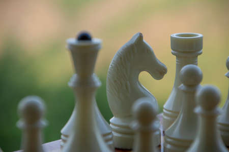 White chess pieces on a chessboard. Game of chess. Beautiful chess figures - photos, pictures