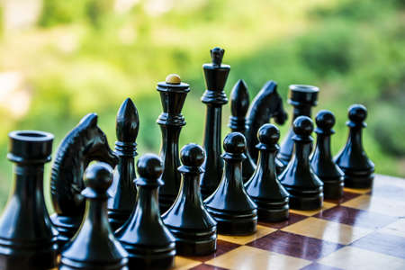 Chess board with figures. Chess pieces on the background of nature