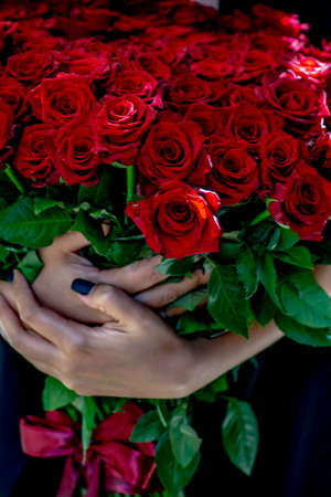 Red roses in the hands of a cute lady. Red thorn roses and woman's hands. A gift for a beloved woman