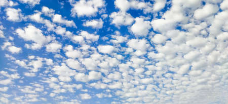 Blue sky and white clouds everywhere. Beautiful sky. White clouds all over the sky