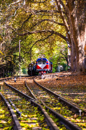 Beautiful autumn forest and old colorful railway train locomotive on the track rails. Train engine passing through a autumn forest.の写真素材
