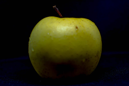 Apple on a black background. Green appleの写真素材