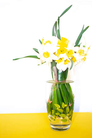 Bouquet of flowers in a vase. Beautiful still life of flowers. Yellow and white flowers in a vaseの写真素材