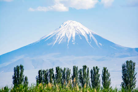 A beautiful mountain with a white top. Green grass and trees on the background of Mount Ararat