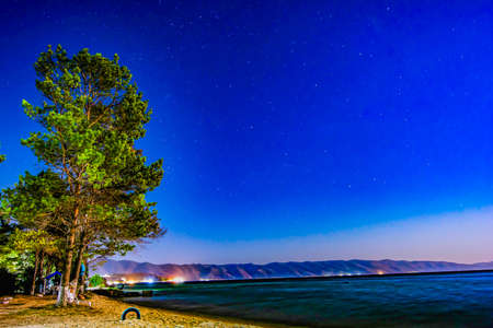 Night landscape, lonely tree by the sea. Bright sky with shining starsの写真素材