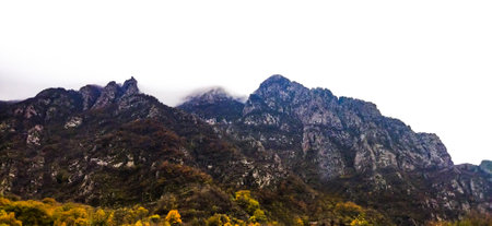 Mystical mountains and autumn forest. Fog over the mountainsの写真素材