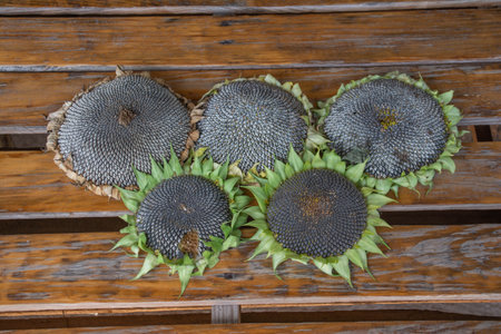 Sunflower seeds on a wooden background. Sunflower seeds in basketの写真素材