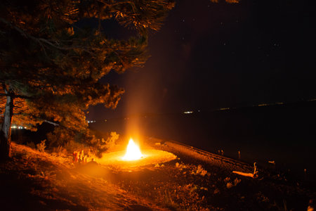 Bonfire on the shore of the sea at night in the forest.の写真素材