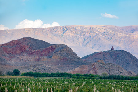 Landscape of a vineyard in the mountains of Armenia. Toned.の写真素材