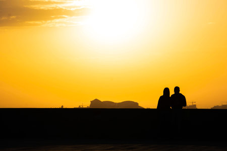Silhouette of a man and woman sitting on the roof at sunset