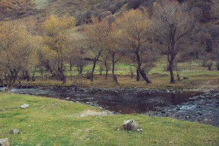 Autumn landscape with river and trees in the mountains, Caucasus, Russiaの写真素材